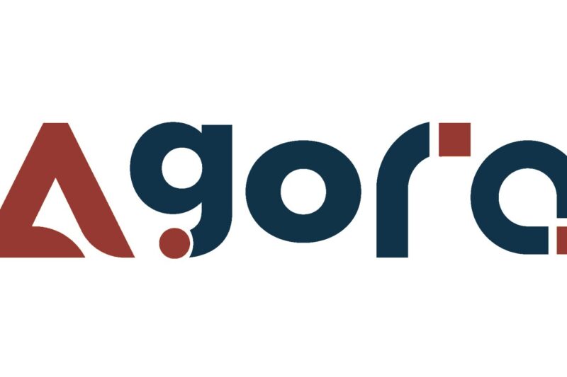 الهوية البصرية بين دولة الصنم والاستعراض الحكواتي